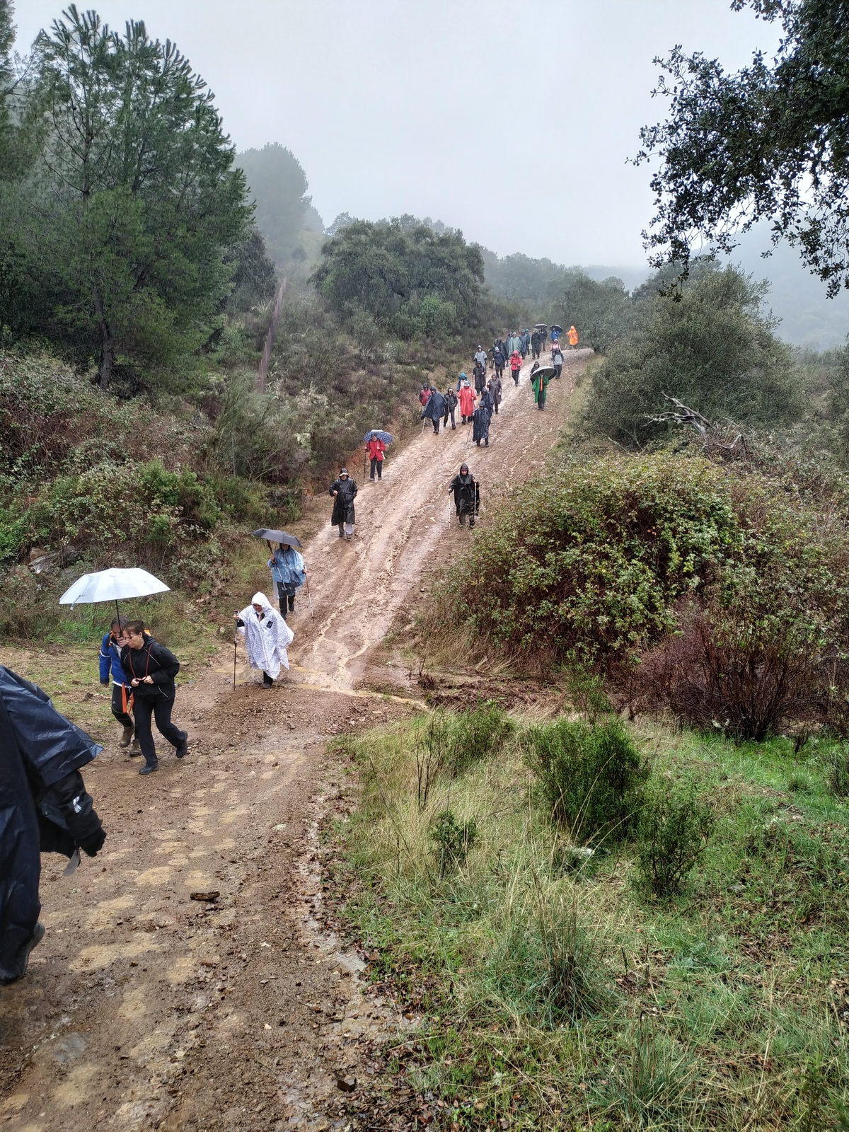 Asociación de Amigos del Camino Mozárabe de Santiago en Córdoba - Etapa 5: Cerro Muriano - Villaharta