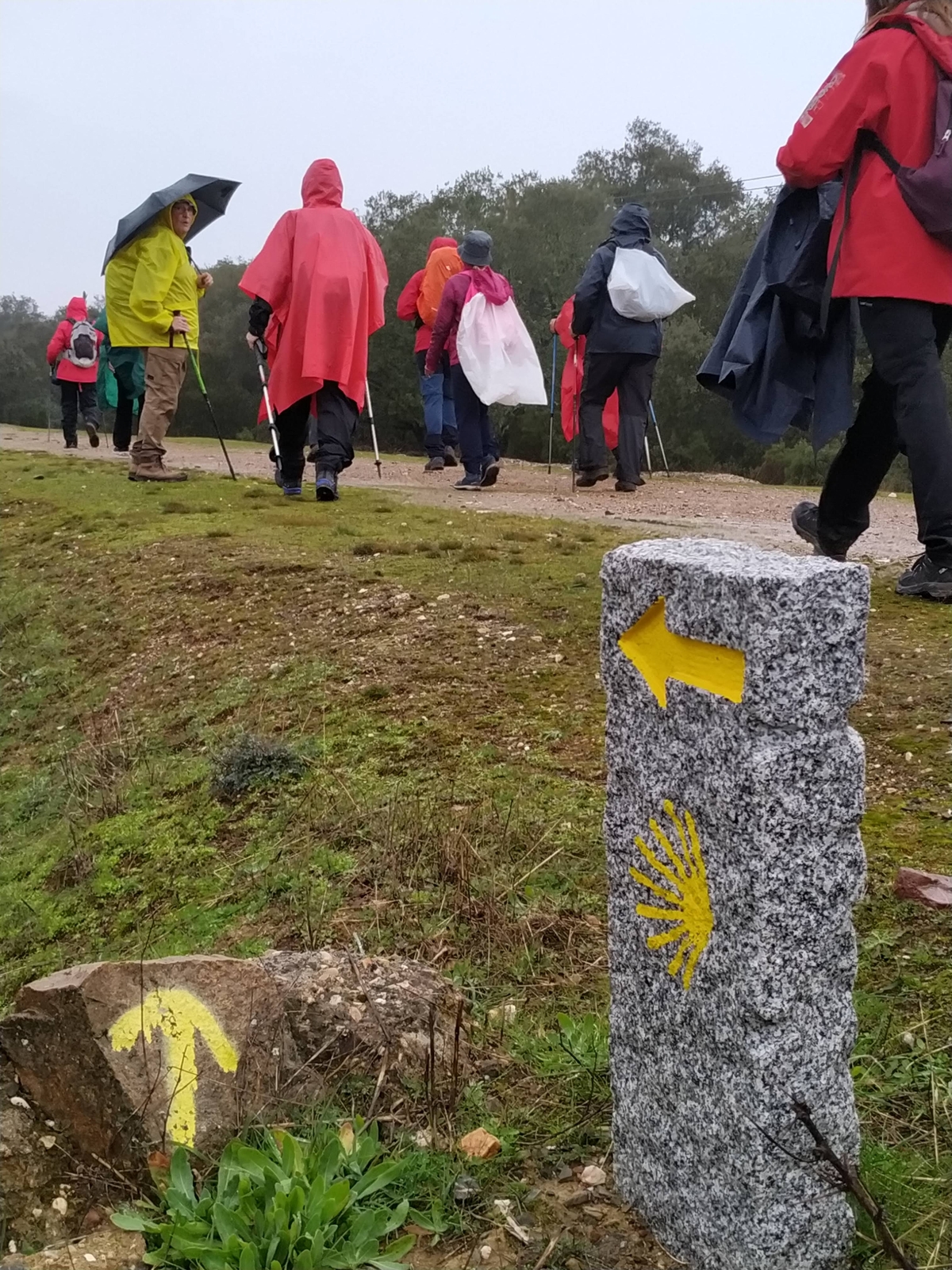 Asociación de Amigos del Camino Mozárabe de Santiago en Córdoba - Etapa 5: Cerro Muriano - Villaharta